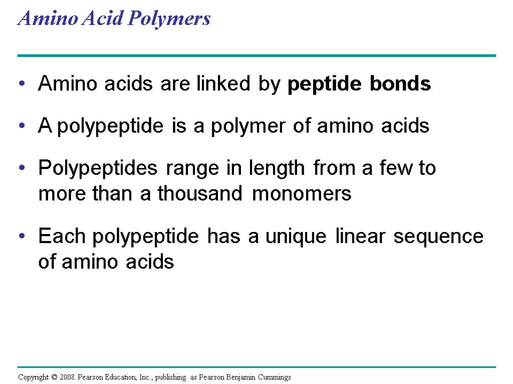 Amino Acid Polymers Amino acids are linked by peptide bonds A polypeptide is a